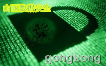 山麗網(wǎng)安 筑牢涉密信息安全防線，加密與防護(hù)軟件雙管齊下